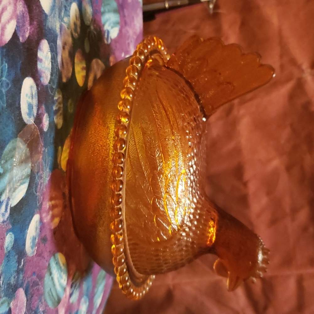 Hen in nest